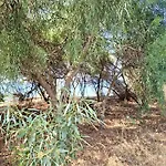 Apartmán Sr Romana Playa *